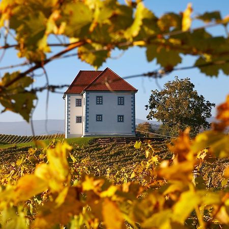 Apartamento Wine Grower'S Mansion Zlati Gric Slovenske Konjice Exterior foto