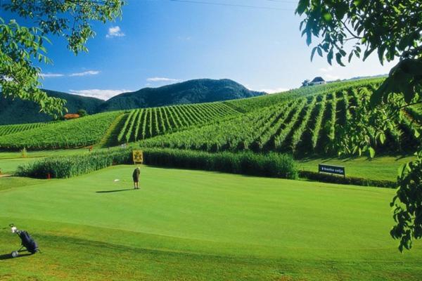 Apartamento Wine Grower'S Mansion Zlati Gric Slovenske Konjice Exterior foto