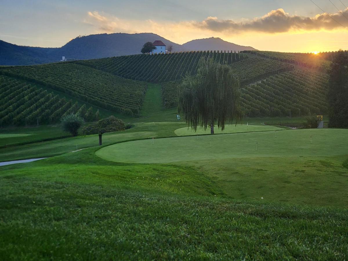 Apartamento Wine Grower'S Mansion Zlati Gric Slovenske Konjice Exterior foto