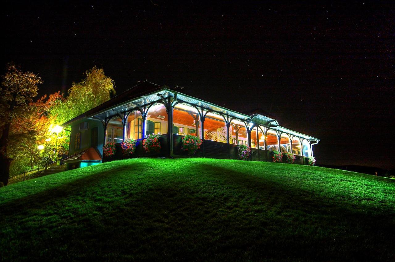 Apartamento Wine Grower'S Mansion Zlati Gric Slovenske Konjice Exterior foto