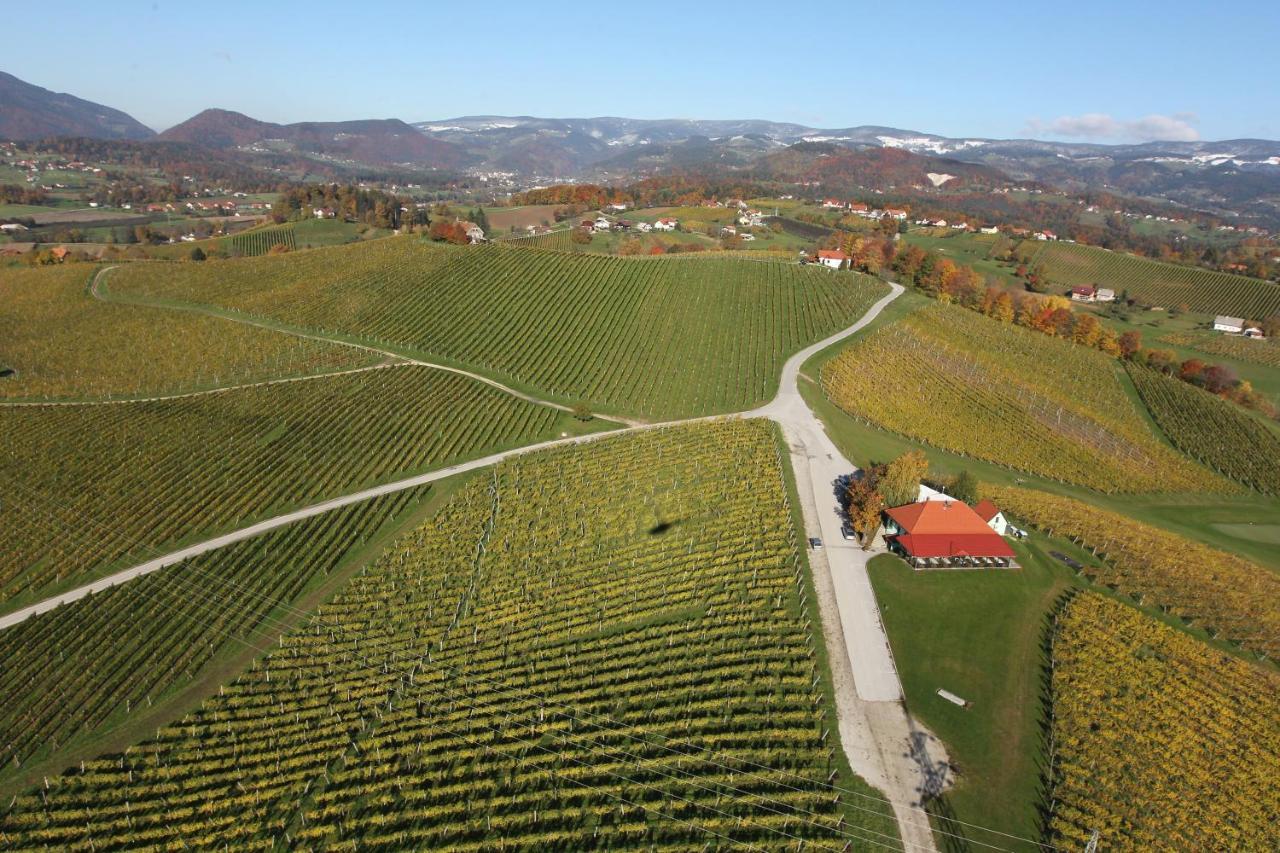 Apartamento Wine Grower'S Mansion Zlati Gric Slovenske Konjice Exterior foto