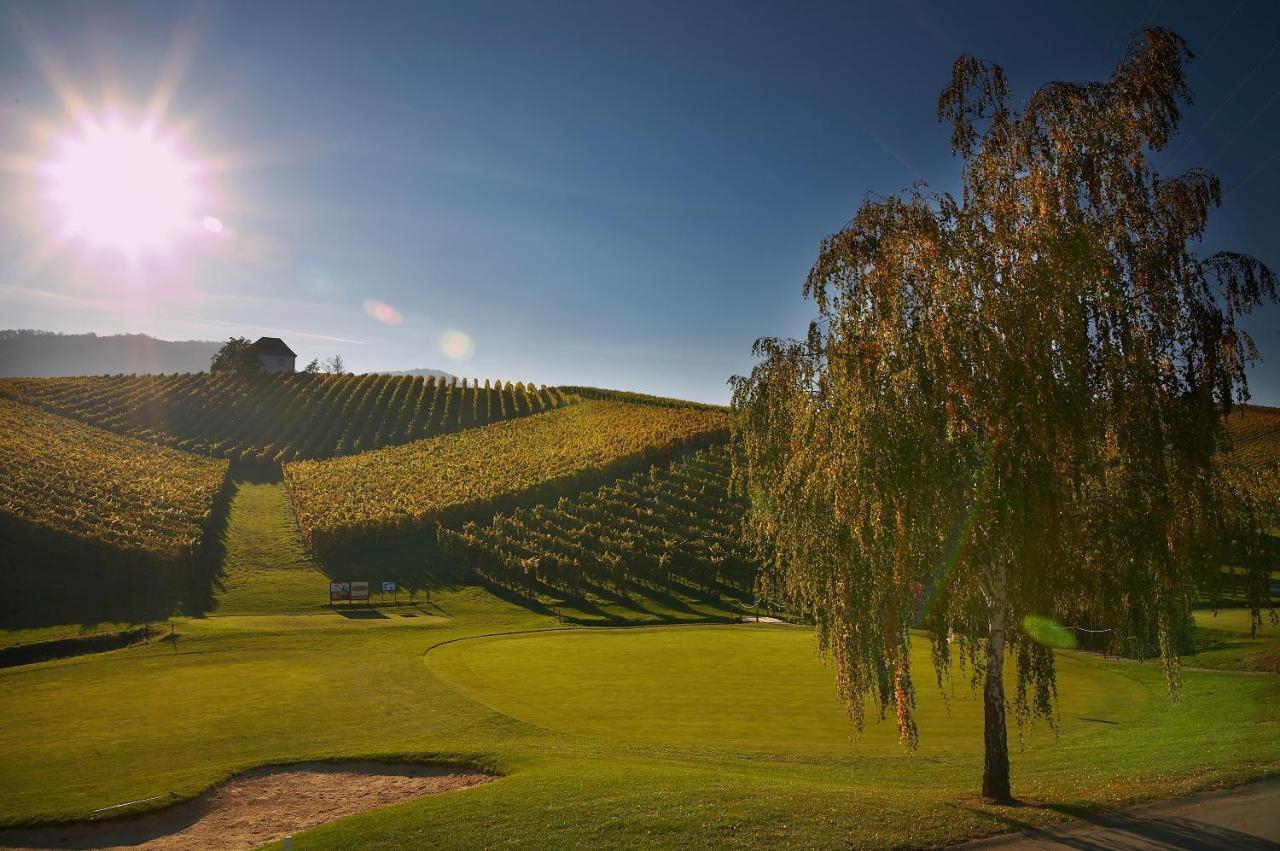 Apartamento Wine Grower'S Mansion Zlati Gric Slovenske Konjice Exterior foto