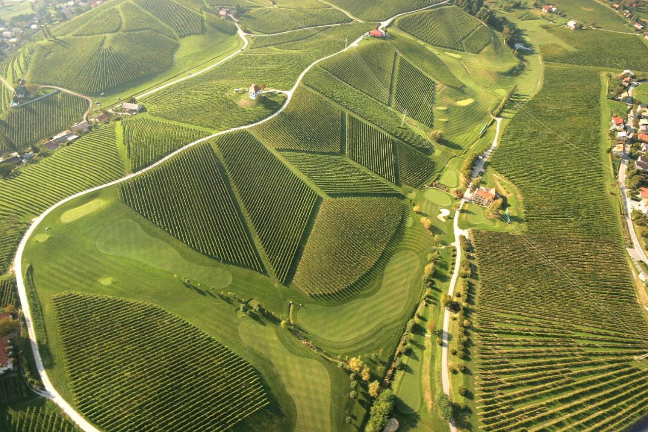 Apartamento Wine Grower'S Mansion Zlati Gric Slovenske Konjice Exterior foto