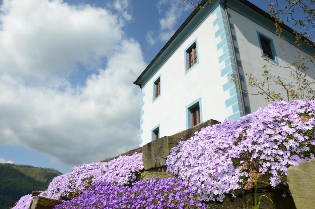 Apartamento Wine Grower'S Mansion Zlati Gric Slovenske Konjice Exterior foto