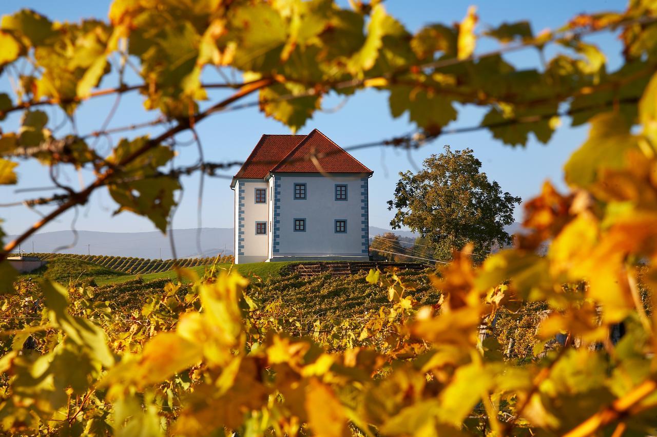 Apartamento Wine Grower'S Mansion Zlati Gric Slovenske Konjice Exterior foto