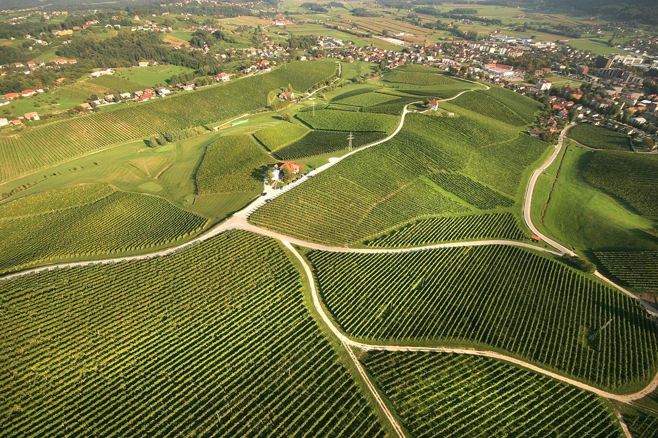 Apartamento Wine Grower'S Mansion Zlati Gric Slovenske Konjice Exterior foto