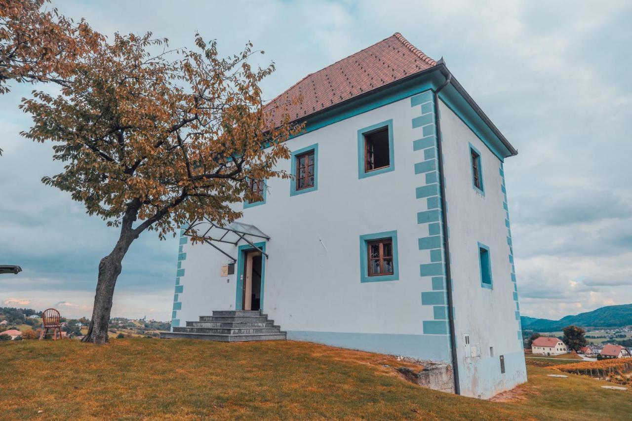 Apartamento Wine Grower'S Mansion Zlati Gric Slovenske Konjice Exterior foto