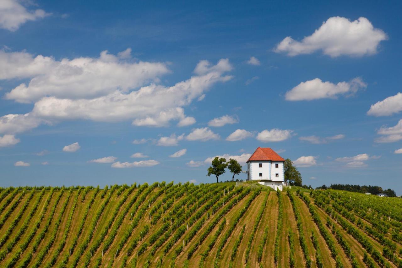 Apartamento Wine Grower'S Mansion Zlati Gric Slovenske Konjice Exterior foto